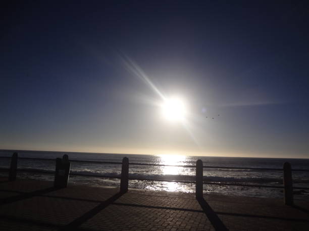 Sunset on the sea and tree birds flying in the horizon