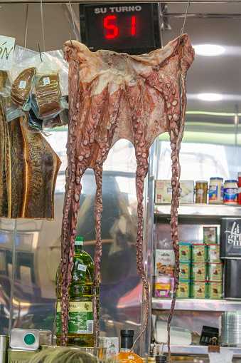 Octopus at Mercado Central (Central Market) in Valencia, Spain, with commercial labels visible in the background