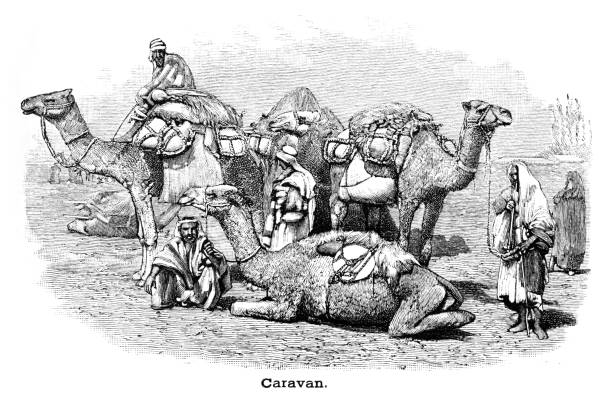 Desert caravan engraving 1867