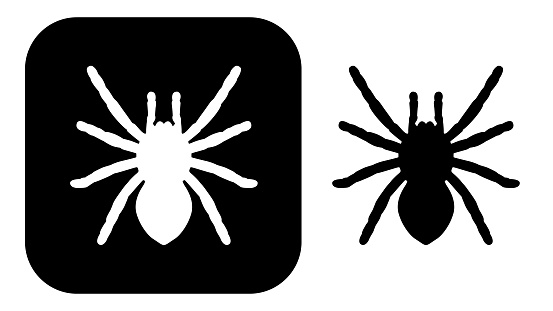 Vector illustration of two black and white spider icons.