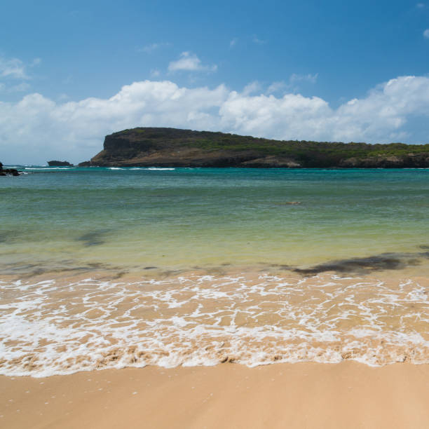 Southeste beach - Fernando de Noronha