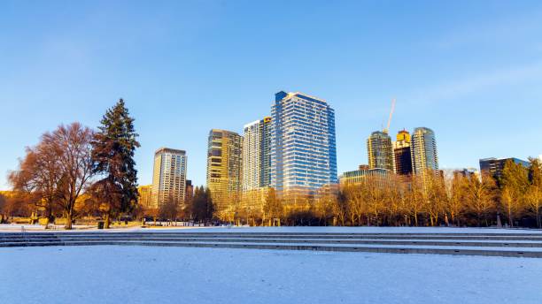 istock Bellevue downtown in snow 1362792148