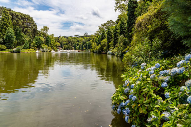 istock Lago Negro lake trees and flowers 1362792870