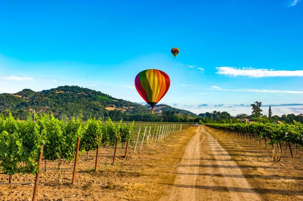 Napa Valley CA. Aerial view of vineyards in the Napa Valley wine country of CA as shot from a hot air balloon.  Napa County is north of San Francisco, in California. It's known for hundreds of hillside vineyards in the Napa Valley wine region.  Hot air ballooning is a popular activity for tourists. northern california stock pictures, royalty-free photos & images