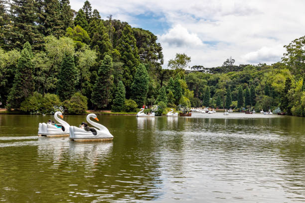 istock Lago Negro lake trees and flowers 1362792956