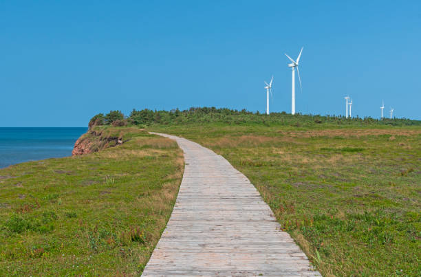 Wind Farm Along a Coatal Boardwalk stock photo