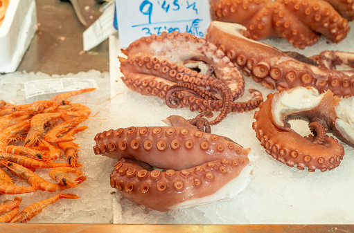 Octopus at Central Market in Valencia, Spain