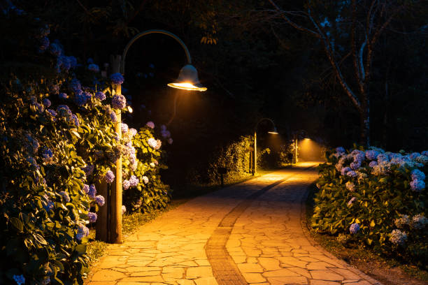 istock Walkpath with ilumination in Lago Negro lake at night 1362793112