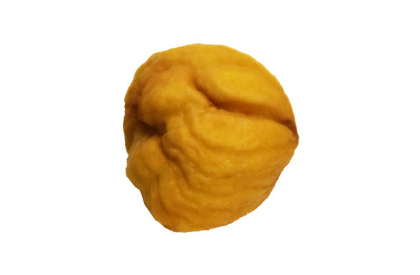 istock Roasted Chestnut fruit flesh, chromakey 1362793924