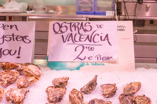 Oysters at Central Market in Valencia, Spain