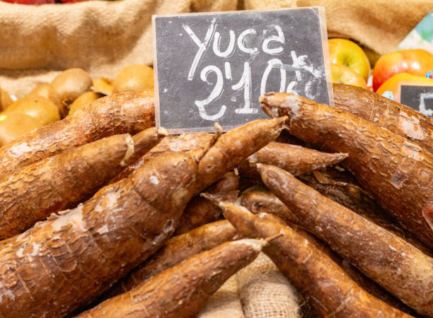 maniok (yucca) na central market w walencji, hiszpania - cyjanki zdjęcia i obrazy z banku zdjęć