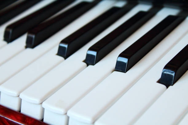 istock Accordion Keys Close-up. Background. Texture. 1362796138