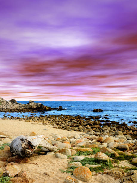 Asilomar State Marine Reserve Monterey Bay California