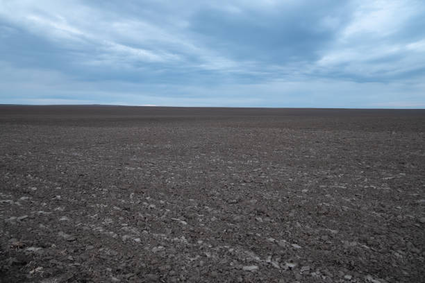 istock Plowed brown land with dramatic blue skies 1362799755
