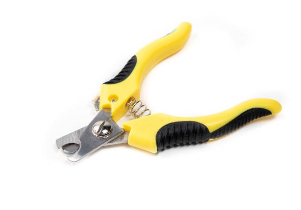 Dog nail trimmer with open blades.