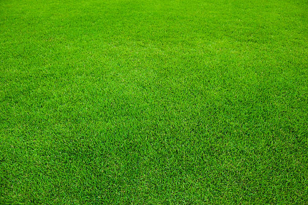 istock sports field 136280373