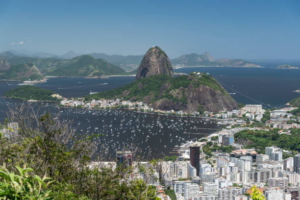 bella vista sul pan di zucchero, sull'oceano e sugli edifici - urca rio de janeiro rainforest brazil foto e immagini stock