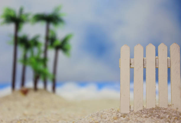 Fence on on beach with waves and Palm Trees in background Shallow DOF