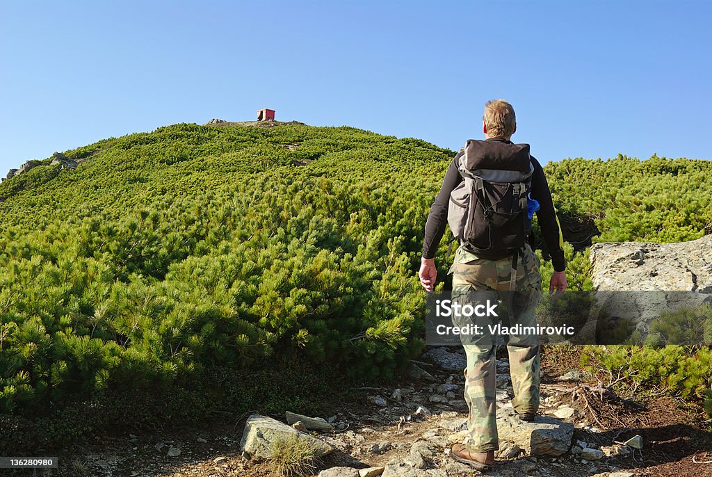 Homme de randonnée - Photo de Couleur verte libre de droits