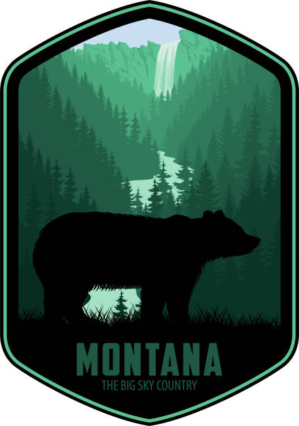 illustrations, cliparts, dessins animés et icônes de étiquette vectorielle du montana avec grizzli dans le parc national de yellowstone - us glacier national park