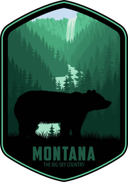 etykieta wektorowa montana z niedźwiedziem grizzly w parku narodowym yellowstone - us glacier national park stock illustrations