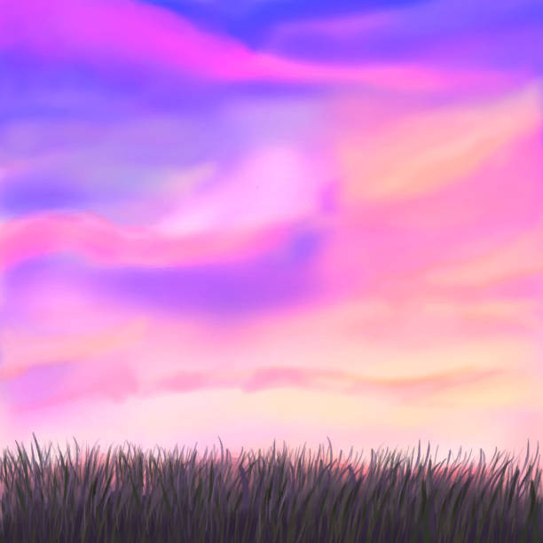 illustrazioni stock, clip art, cartoni animati e icone di tendenza di cielo rosa al tramonto con erba. sfondo vettoriale con nuvole eps10 - grass family backgrounds sea wind