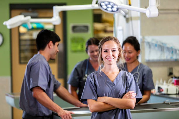 Young woman with staff working in veterinary hospital stock photo