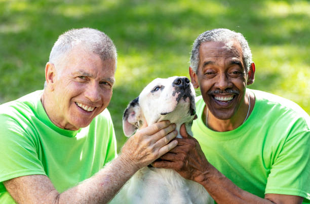 istock Two multiracial senior men help at pet shelter, with dog 1362838248