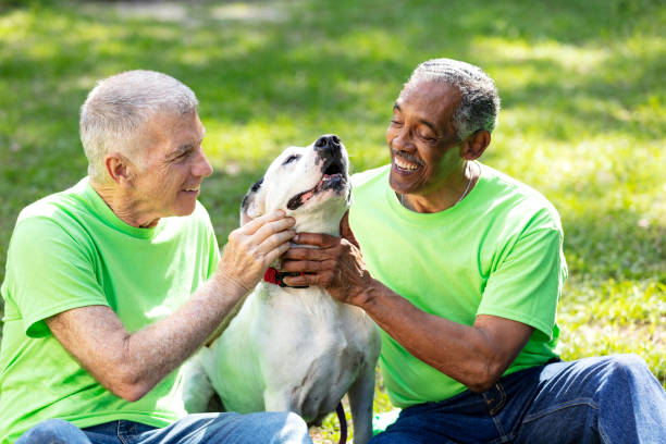 istock Two multiracial senior men help at pet shelter, with dog 1362838250