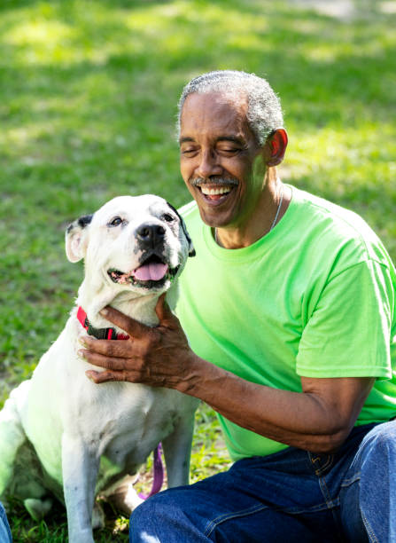 starší afroameričan sedící na trávě mazlení psa - humane society - stock snímky, obrázky a fotky