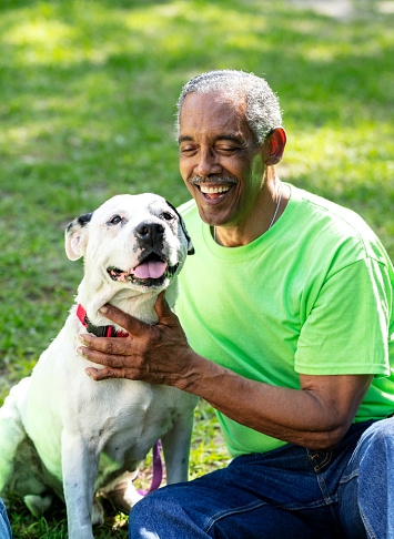 A senior African-American man in his 70s sitting on the grass petting a mixed-breed dog.