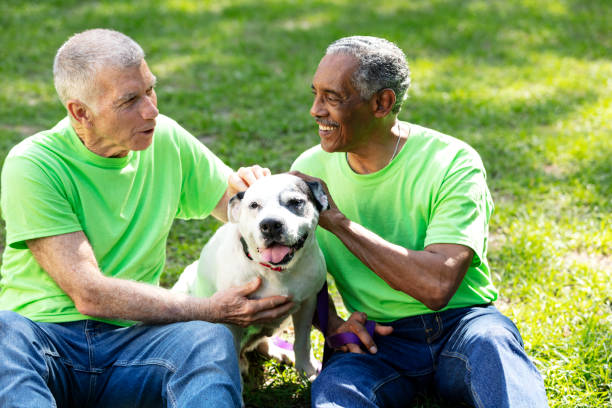 istock Two multiracial senior men help at pet shelter, with dog 1362838765