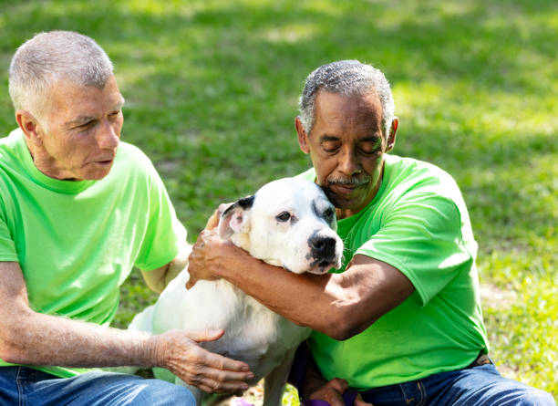 istock Two multiracial senior men help at pet shelter, with dog 1362838766