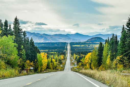 The beauty and splendor of fall reveals itself across the many miles of Alaska. The roads are filled with frost heaves, rough surfaces, curves, animal crossings, and other difficult terrains. Travelers will also be blessed with stunning views. With wide open spaces travelers will not be disappointed.  A journey worth traveling.  On this fall day it brought delight to all.