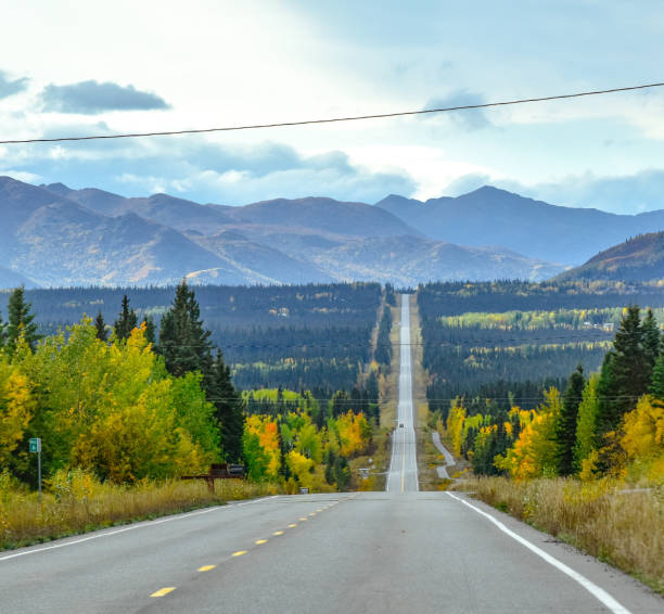 istock Traveling Across Alaska in Fall 1362841662