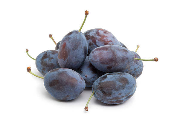 całe świeże śliwki śliwka lubaszka - damson plum zdjęcia i obrazy z banku zdjęć