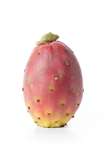 ensemble opuntia ficus indica - prickly pear fruit photos photos et images de collection