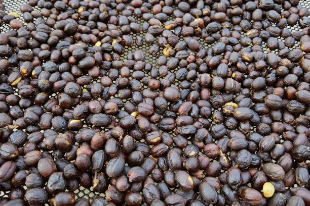 istock Close up of coffee beans 1362844415