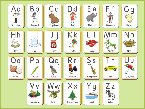 illustrazioni stock, clip art, cartoni animati e icone di tendenza di illustrazione vettoriale della scheda flash dell'alfabeto a-z lettere maiuscole o minuscole per principianti abc - dictionary alphabet letter text