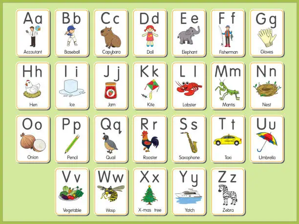 Vector illustration of Vector illustration of the alphabet flash card A-Z Uppercase or lowercase letters for beginners ABC