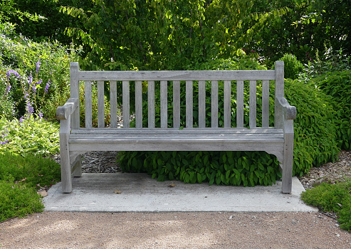 Tranquil scene of park bench in a garden
