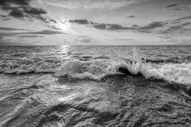 istock Ocean Beach Wave Sunset Black And White 1362866358