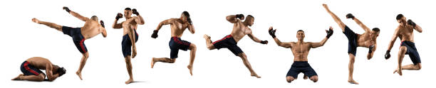 MMA male fighter isolated MMA collage. Martial arts fighter (MMA) isolated on white background combat sport stock pictures, royalty-free photos & images
