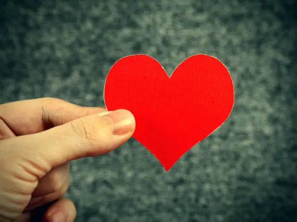 Red Heart Shape in the Hand on the Gray Background