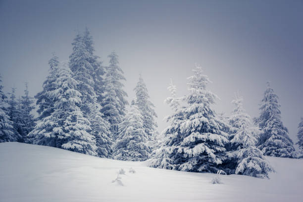 istock Amazing winter landscape 1362874581
