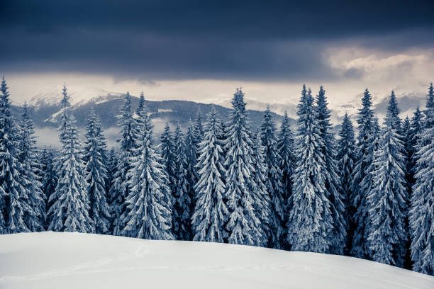 istock Amazing winter landscape 1362874644