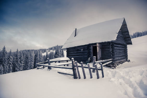 istock Amazing winter landscape 1362874645