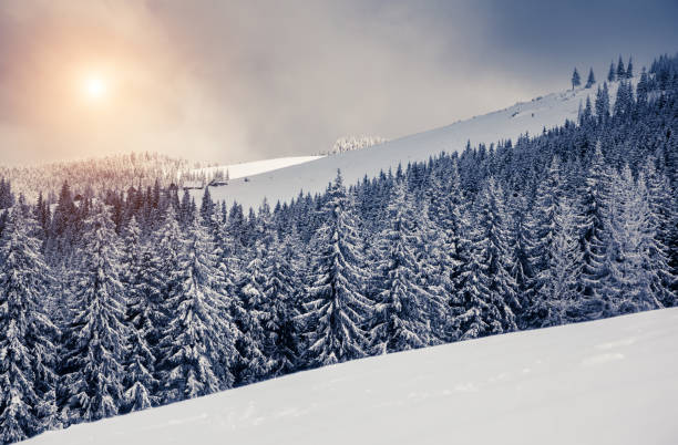 istock Amazing winter landscape 1362874648