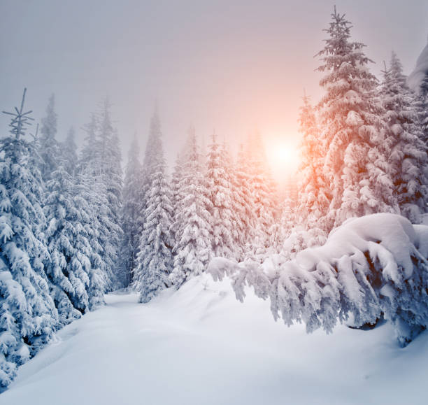 istock Amazing winter landscape 1362875266
