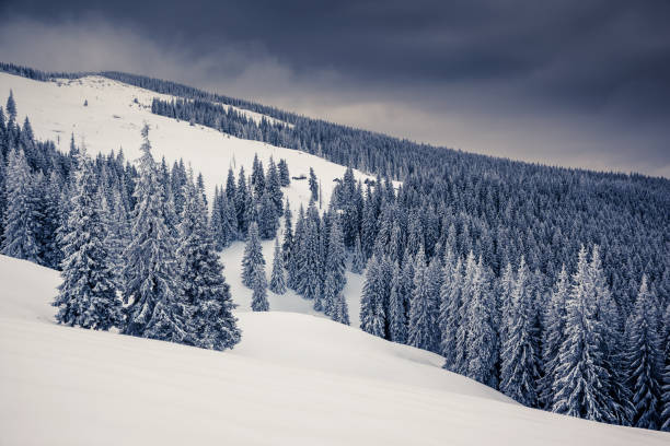 istock Amazing winter landscape 1362875308
